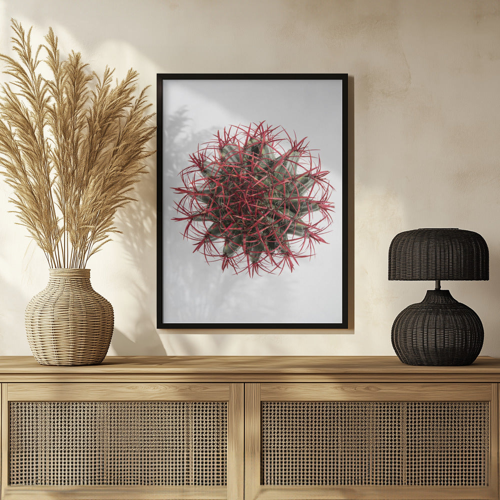 Cacti Poster